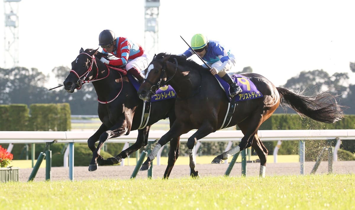 菊花賞ではアリストテレスの猛追をしのぎ無敗の3冠馬に
