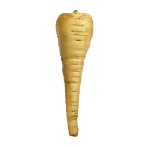 Parsnip