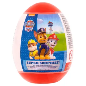 Diversdealz Paw Patrol Pups on the Go Plastic Sipper Bowl, 14.5-oz.