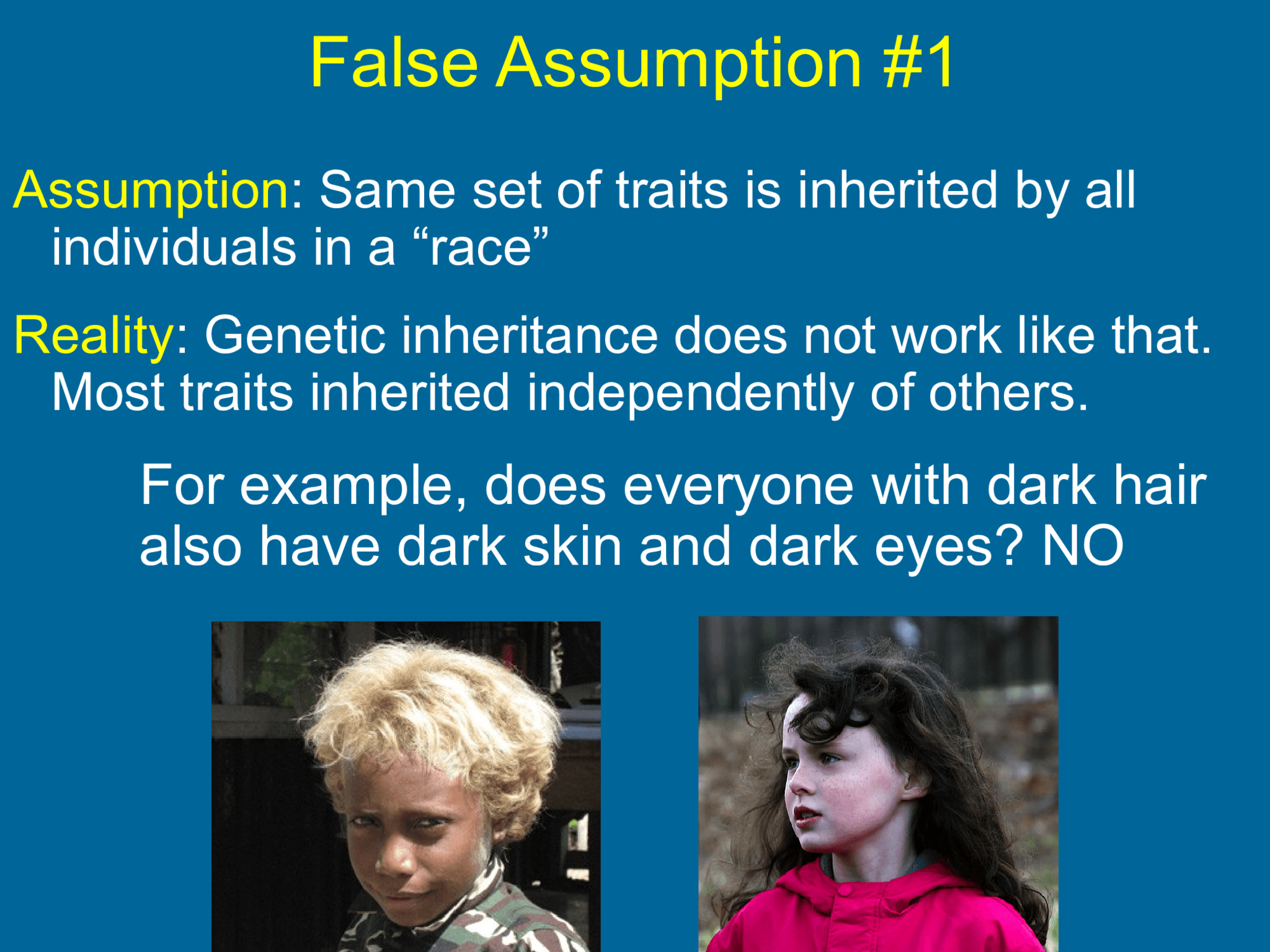 False Assumption #1 Assumption : Same set of traits is inherited by all  individuals in a “race” Reality : Genetic inheritance does not work like that.  Most traits inherited independently of others.  For example, does everyone with dark hair  also have dark skin and dark eyes? NO