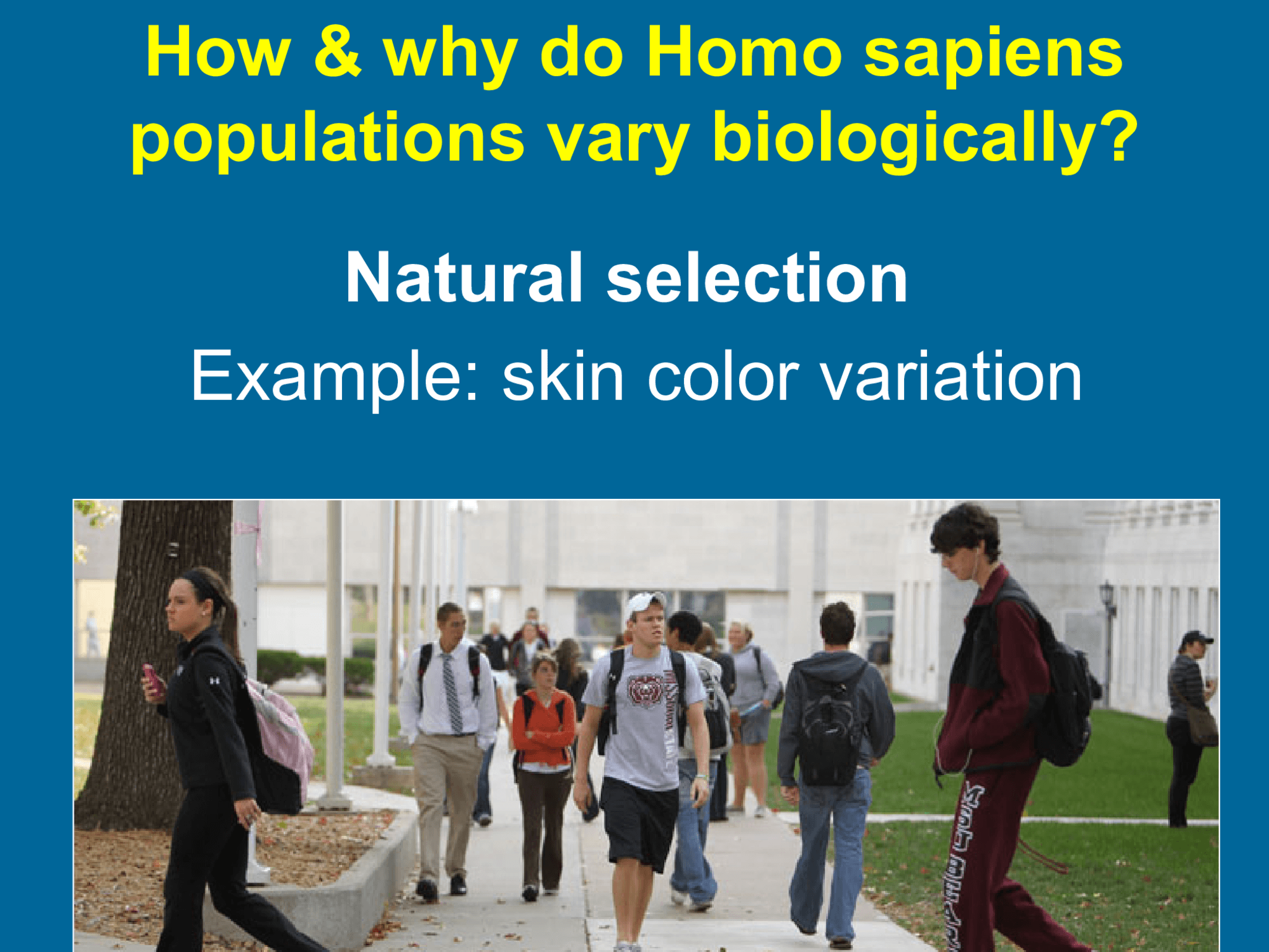 How & why do Homo sapiens  populations vary biologically? Natural selection  Example: skin color variation