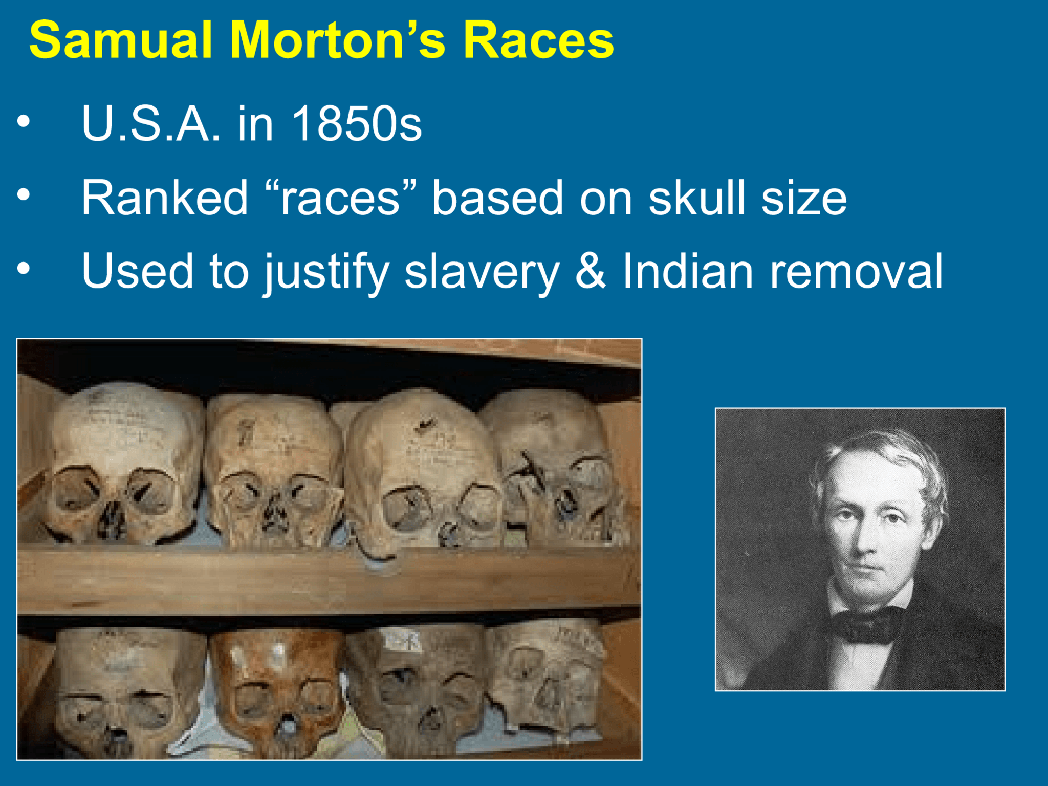 Samual Morton’s Races • U.S.A. in 1850s • Ranked “races” based on skull size • Used to justify slavery & Indian removal 