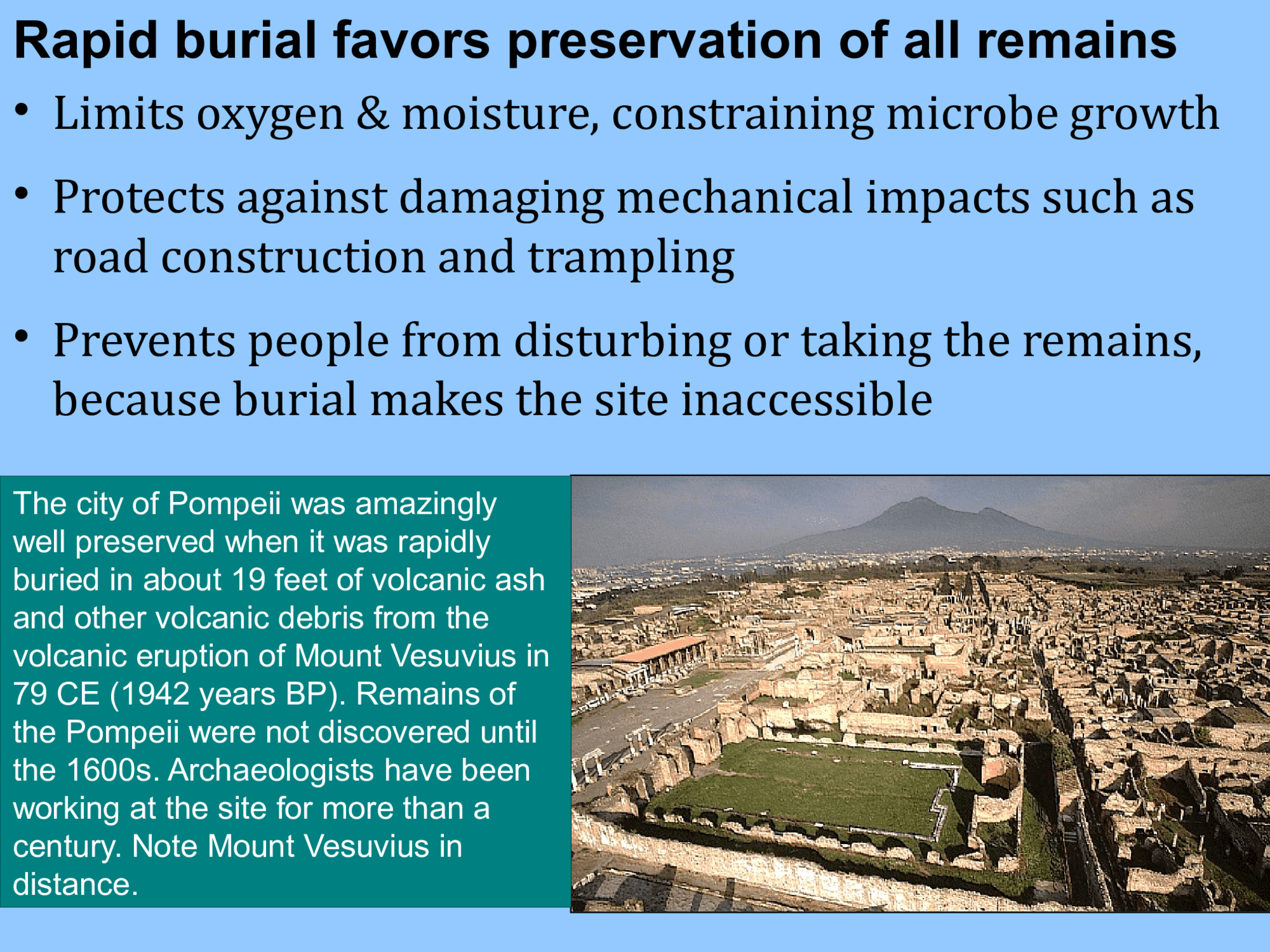 Rapid burial favors preservation of all remains • Limits oxygen & moisture, constraining microbe growth  • Protects against damaging mechanical impacts such as  road construction and trampling • Prevents people from disturbing or taking the remains,  because burial makes the site inaccessible The city of Pompeii was amazingly  well preserved when it was rapidly  buried in about 19 feet of volcanic ash  and other volcanic debris from the  volcanic eruption of Mount Vesuvius in  79 CE (1942 years BP). Remains of  the Pompeii were not discovered until  the 1600s. Archaeologists have been  working at the site for more than a  century. Note Mount Vesuvius in  distance.