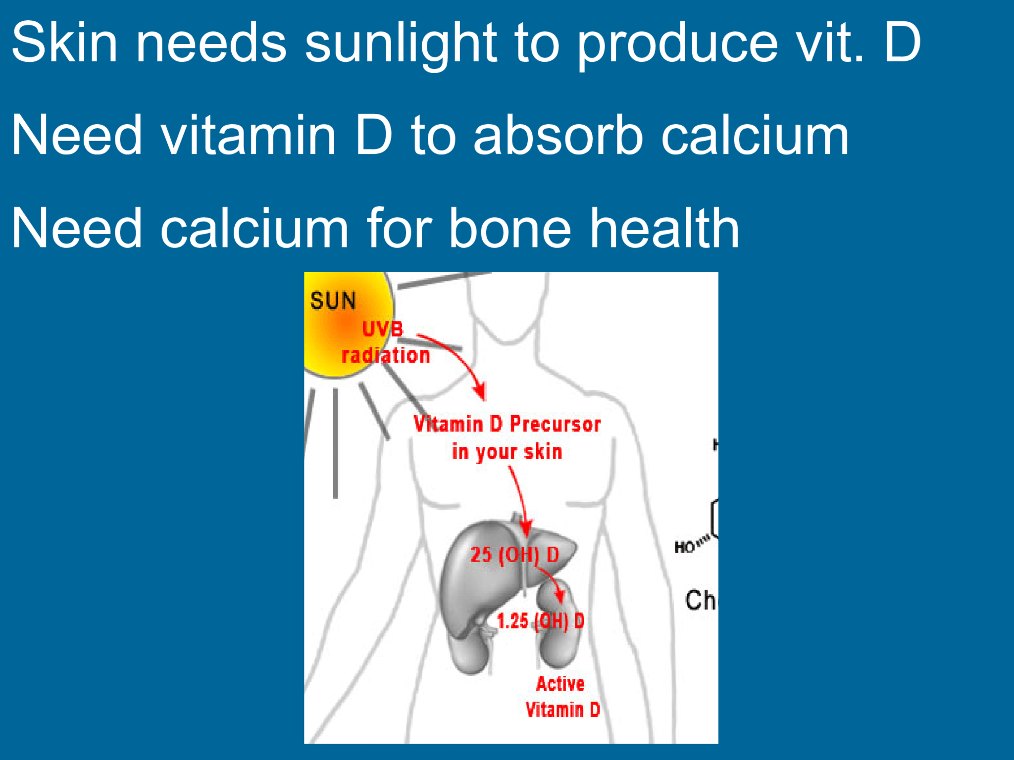 Skin needs sunlight to produce vit. D Need vitamin D to absorb calcium Need calcium for bone health