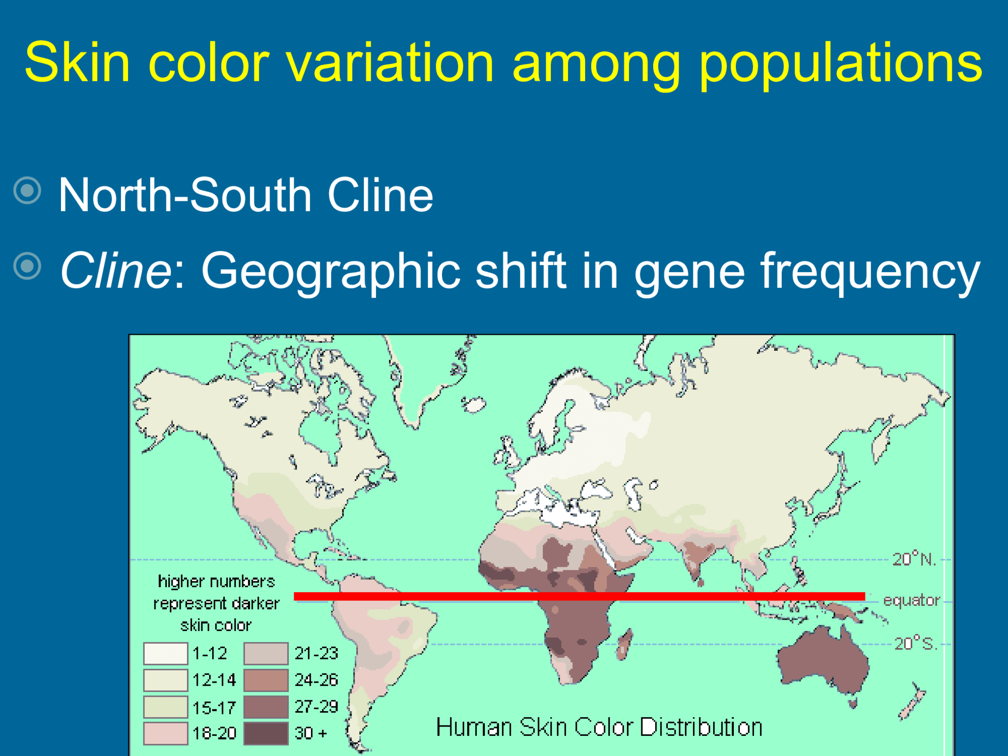 Skin color variation among populations    North-South Cline    Cline : Geographic shift in gene frequency