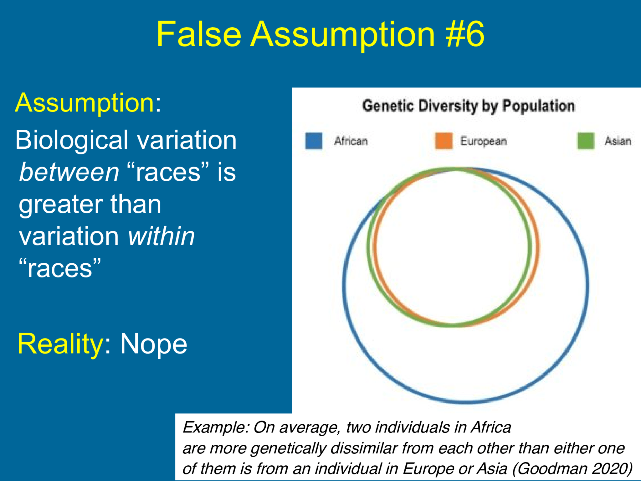 False Assumption #6 Assumption :  Biological variation  between  “races” is  greater than  variation  within   “races” Reality : Nope Example: On average, two individuals in Africa  are more genetically dissimilar from each other than either one  of them is from an individual in Europe or Asia (Goodman 2020)