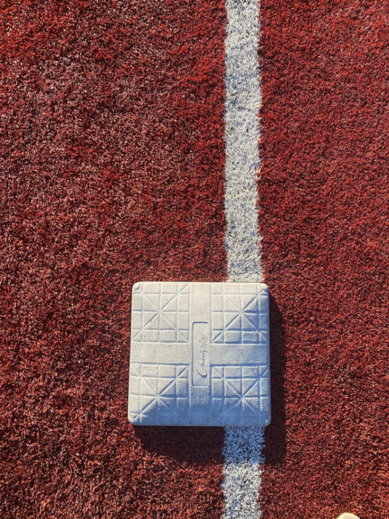 The Future of Robotics in Assisting Athletic Training Sessions