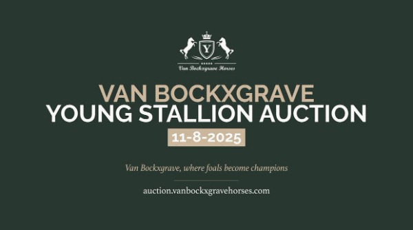Van Bockxgrave Horses BV