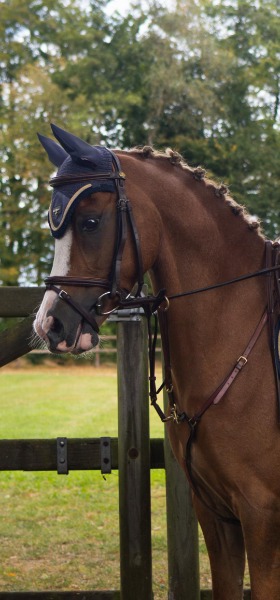 logo Eva Van der Vorst