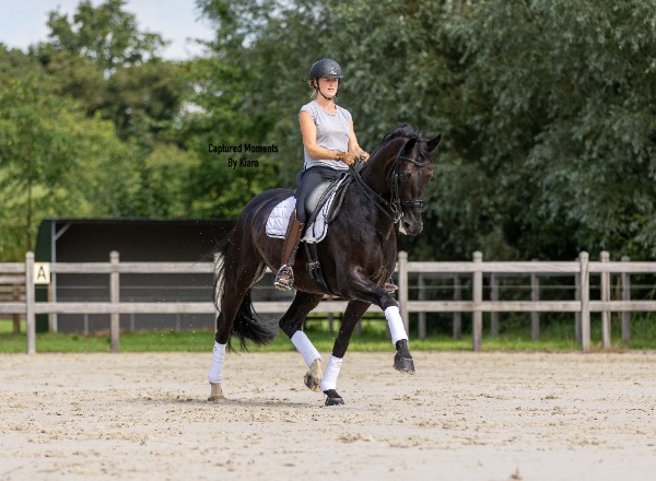 logo Tahnee Waelkens