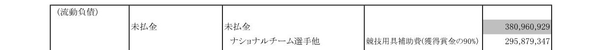 「未払金」欄の、「ナショナルチーム他」「競技用具補助費（獲得賞金の９０％）という記載