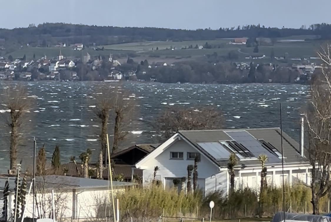 Spot à Lac de Morat - Le Pantschau