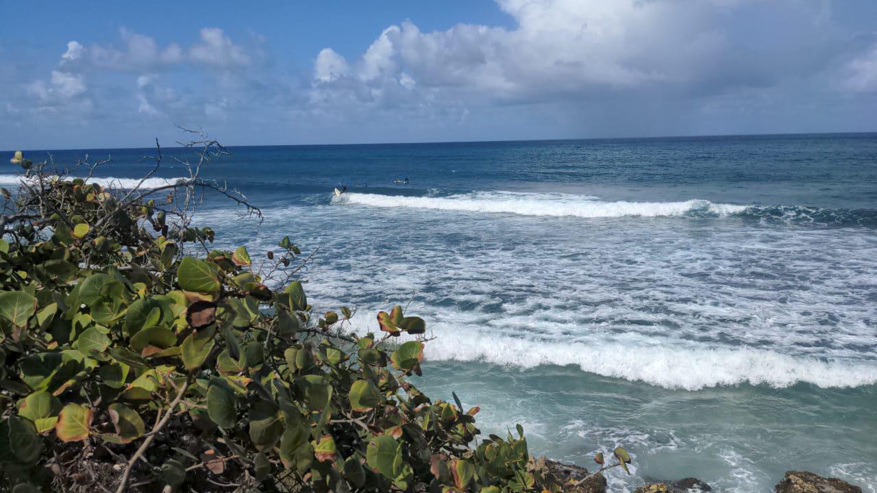 Spot à Anse-Bertrand 