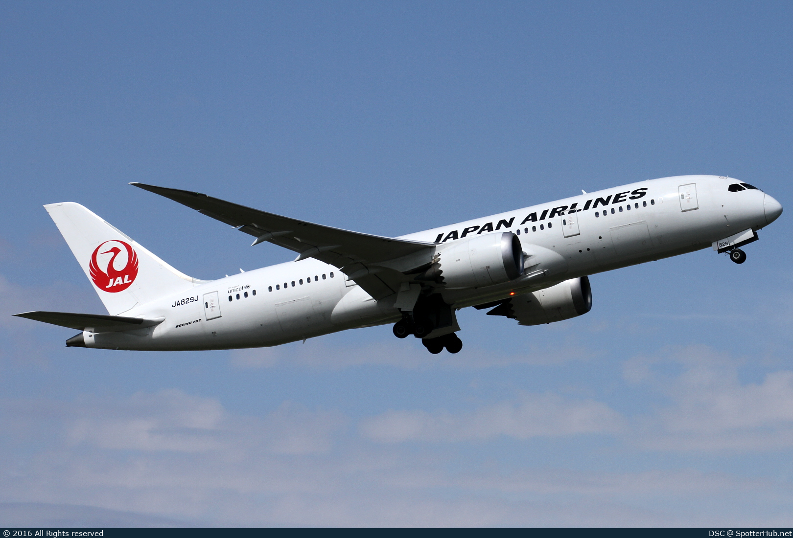 Photo of JA829J - Boeing 787-8 Dreamliner operated by Japan Airlines