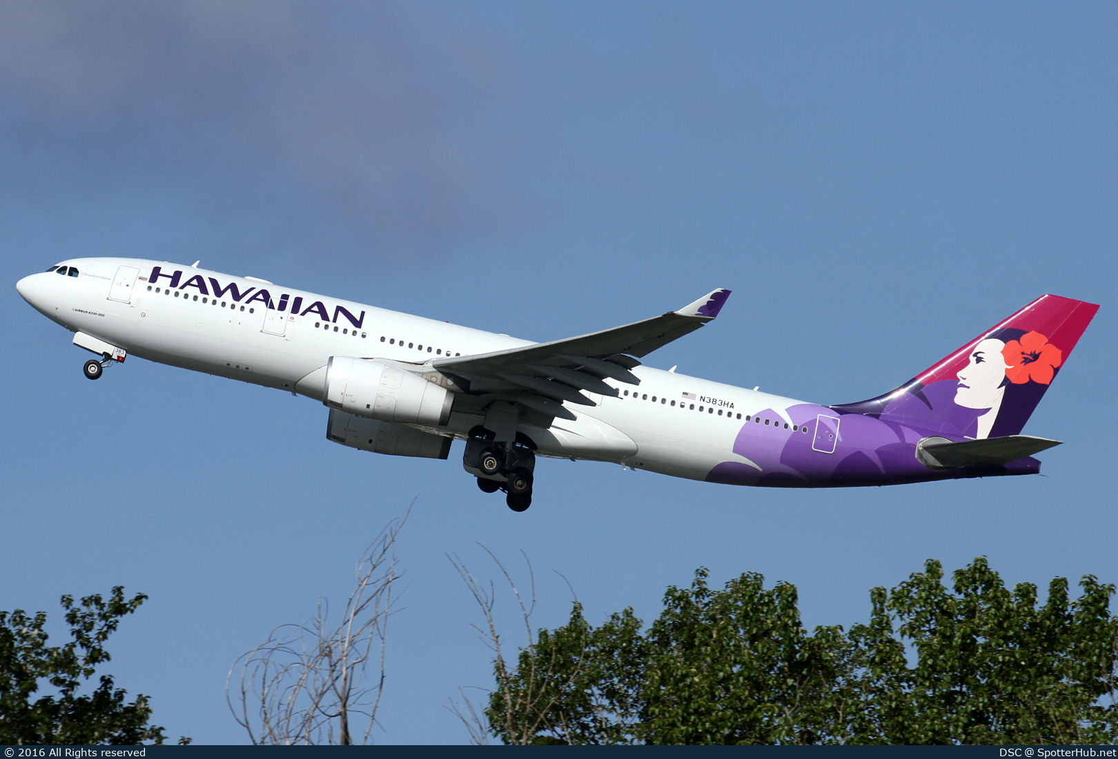 Photo of N383HA - Airbus A330-243 operated by Hawaiian Airlines