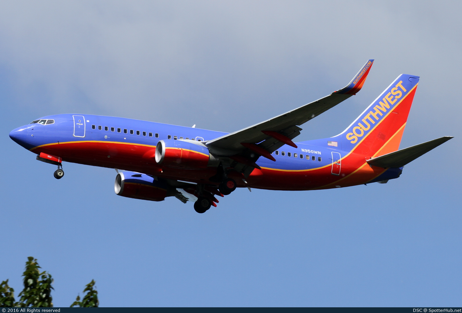 Photo of N950WN - Boeing 737-7H4 operated by Southwest Airlines
