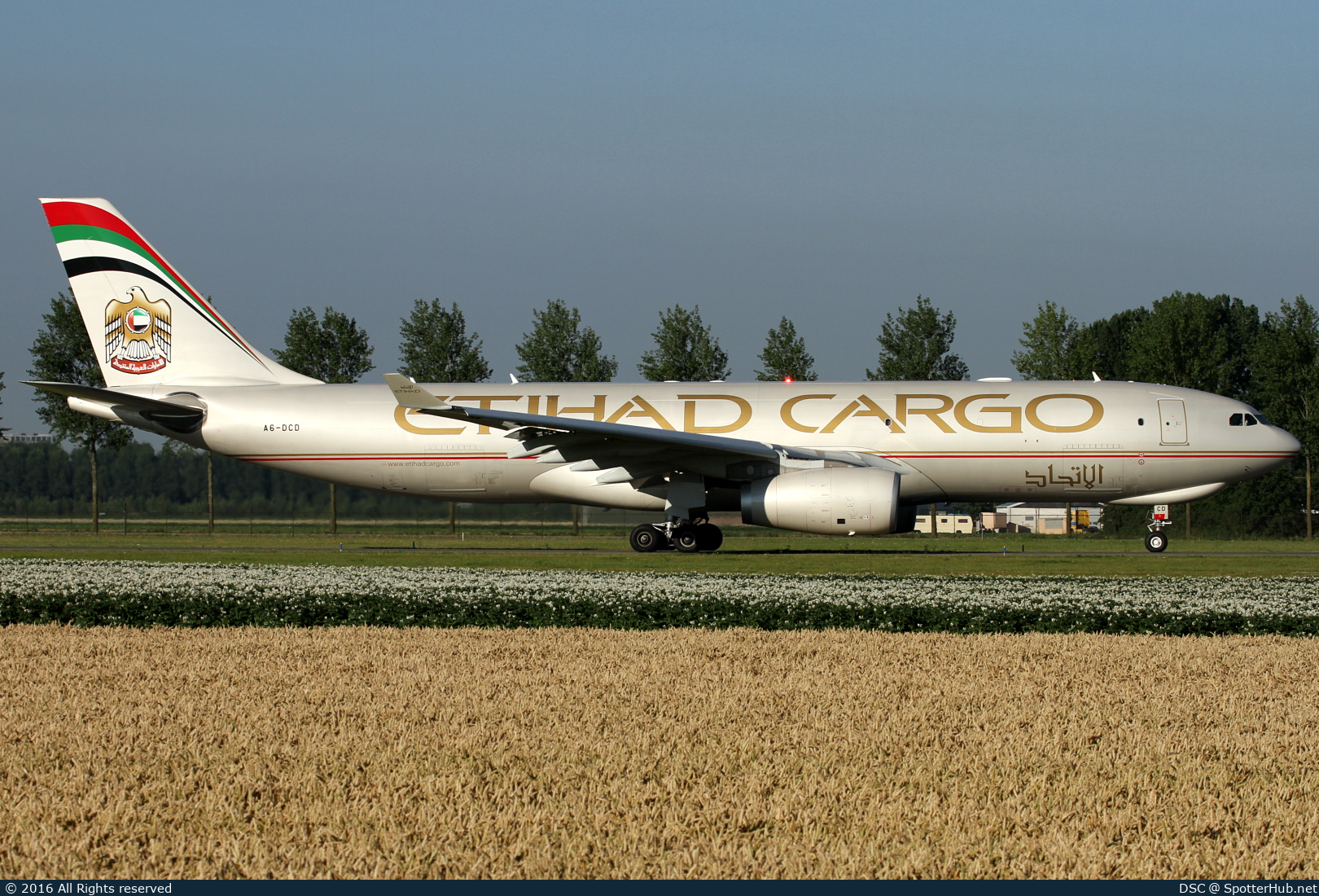 Photo of A6-DCD - Airbus A330-243F operated by Etihad Cargo