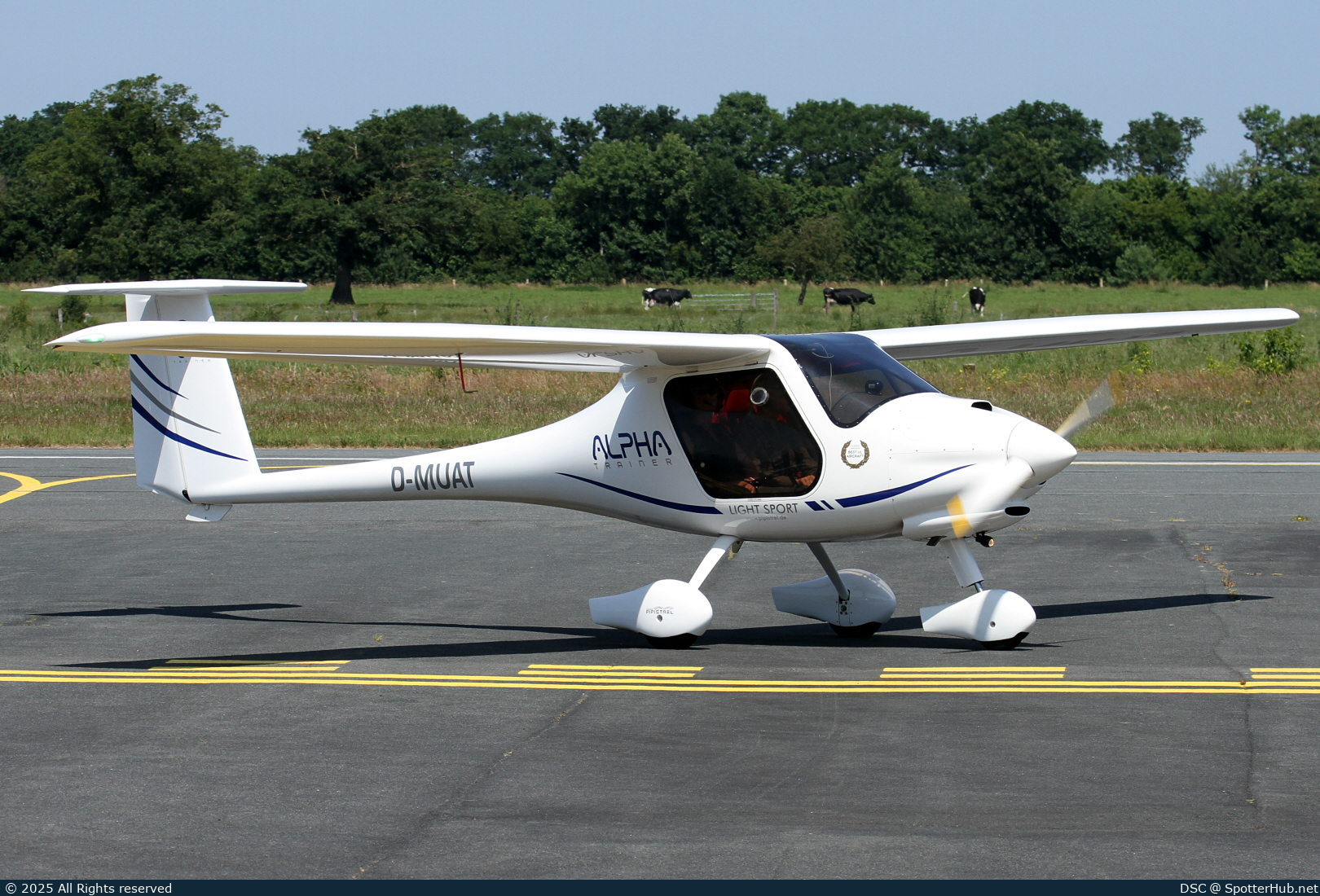 Photo of D-MUAT - Pipistrel Alpha Trainer operated by Private