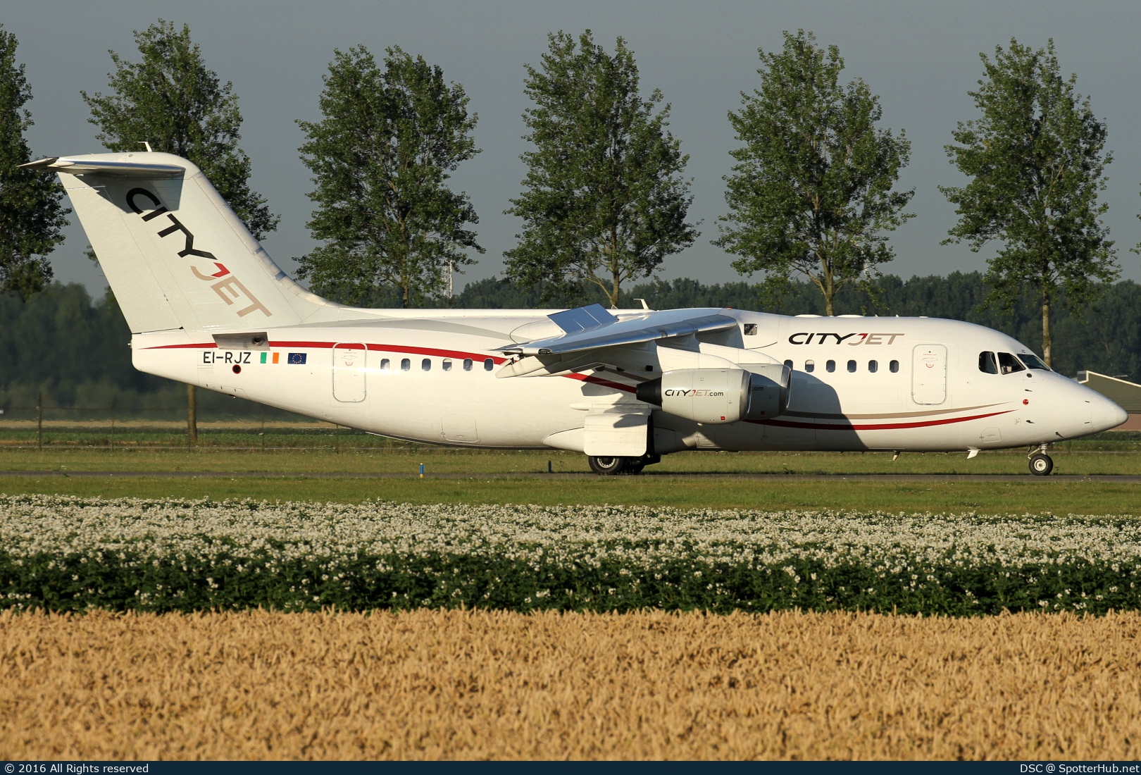 Photo of EI-RJZ - British Aerospace Avro RJ85 operated by CityJet