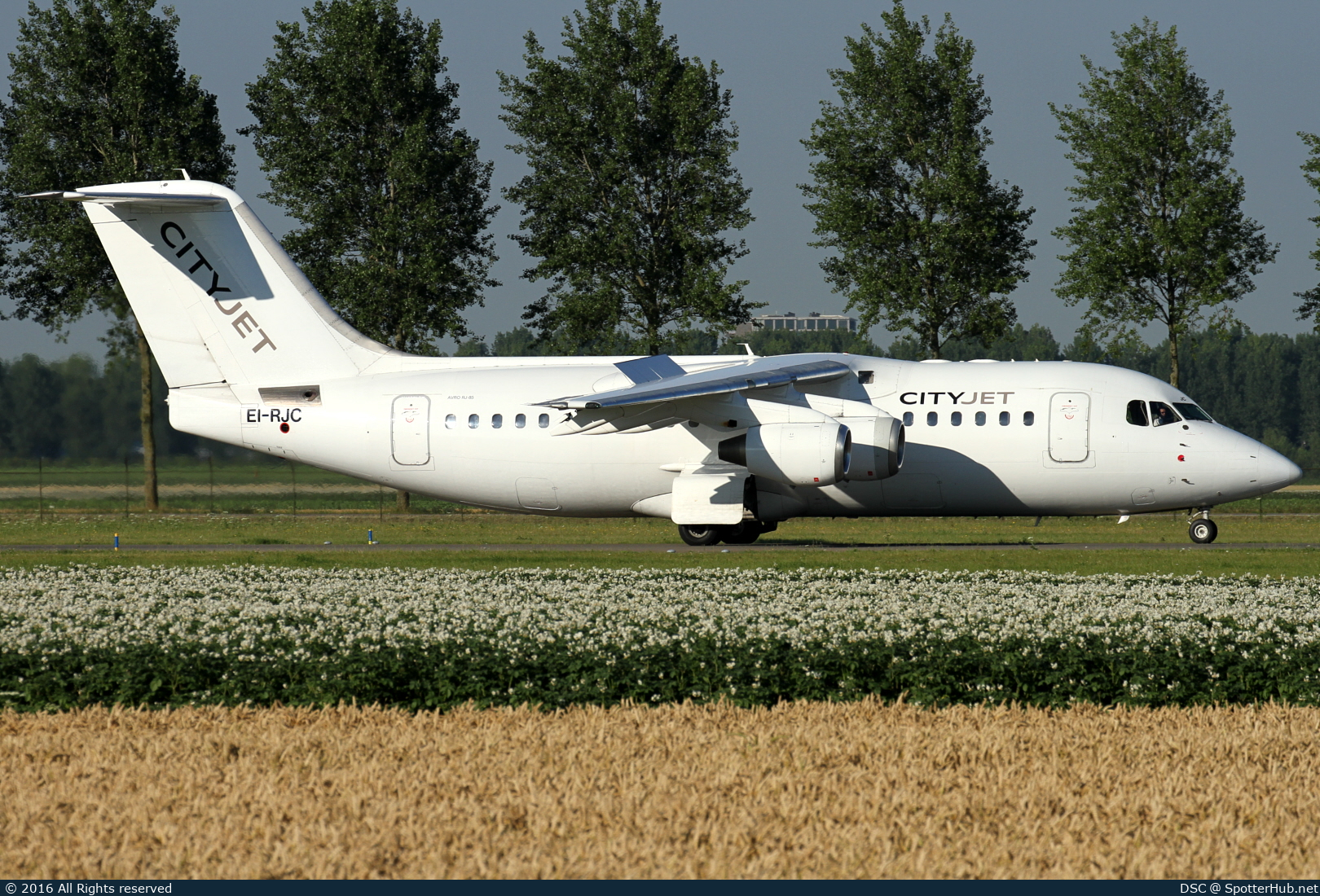 Photo of EI-RJC - British Aerospace Avro RJ85 operated by CityJet