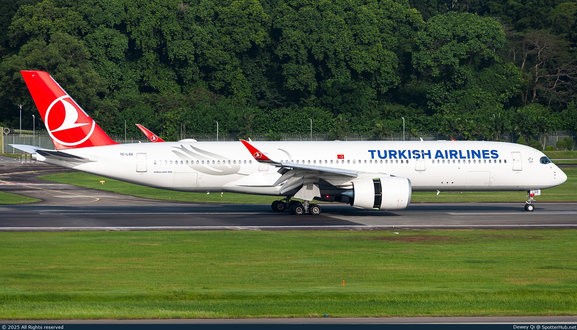 Photo of TC-LGO - Airbus A350-941 operated by Turkish Airlines
