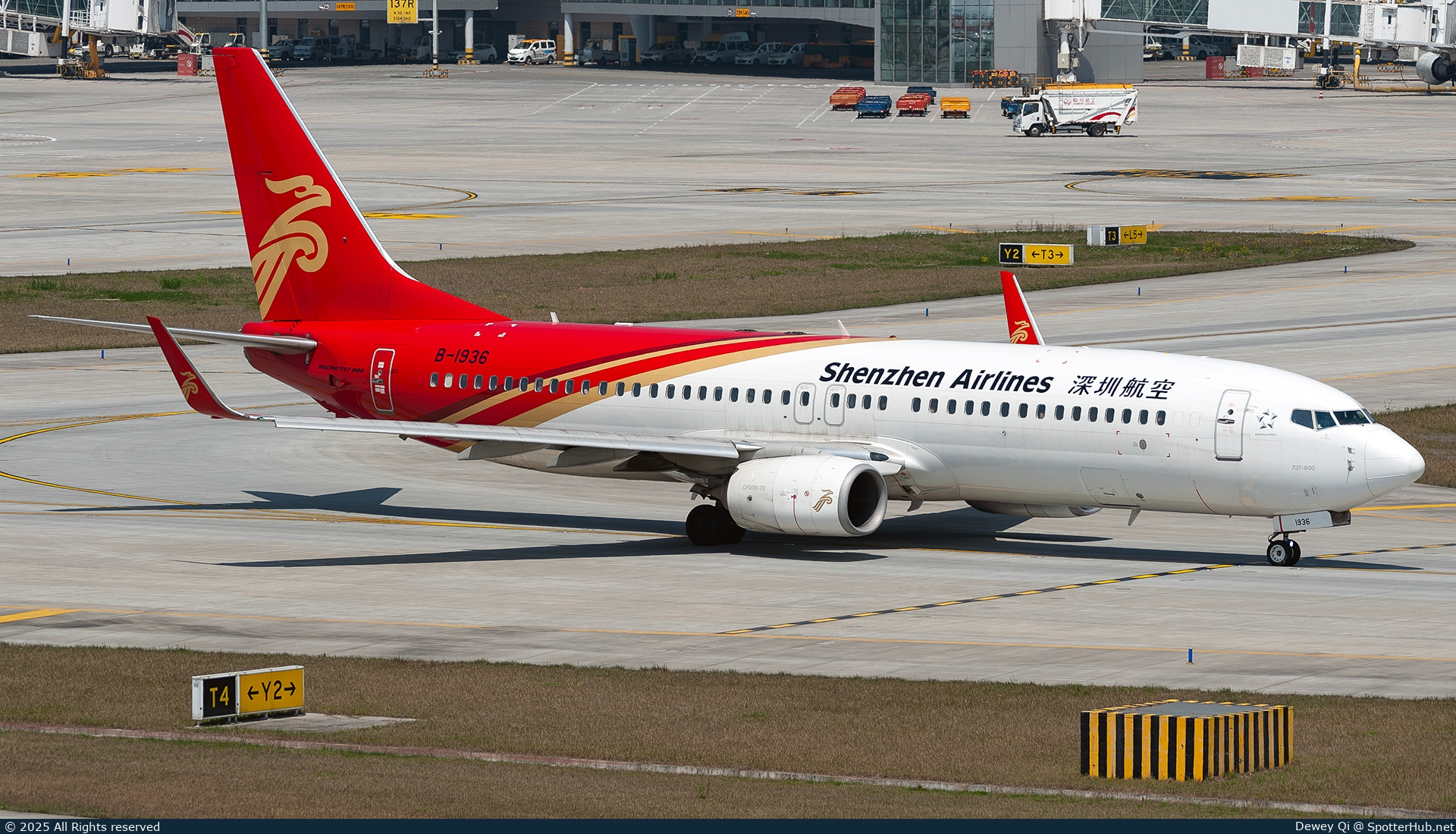 Photo of B-1936 - Boeing 737-87L operated by Shenzhen Airlines