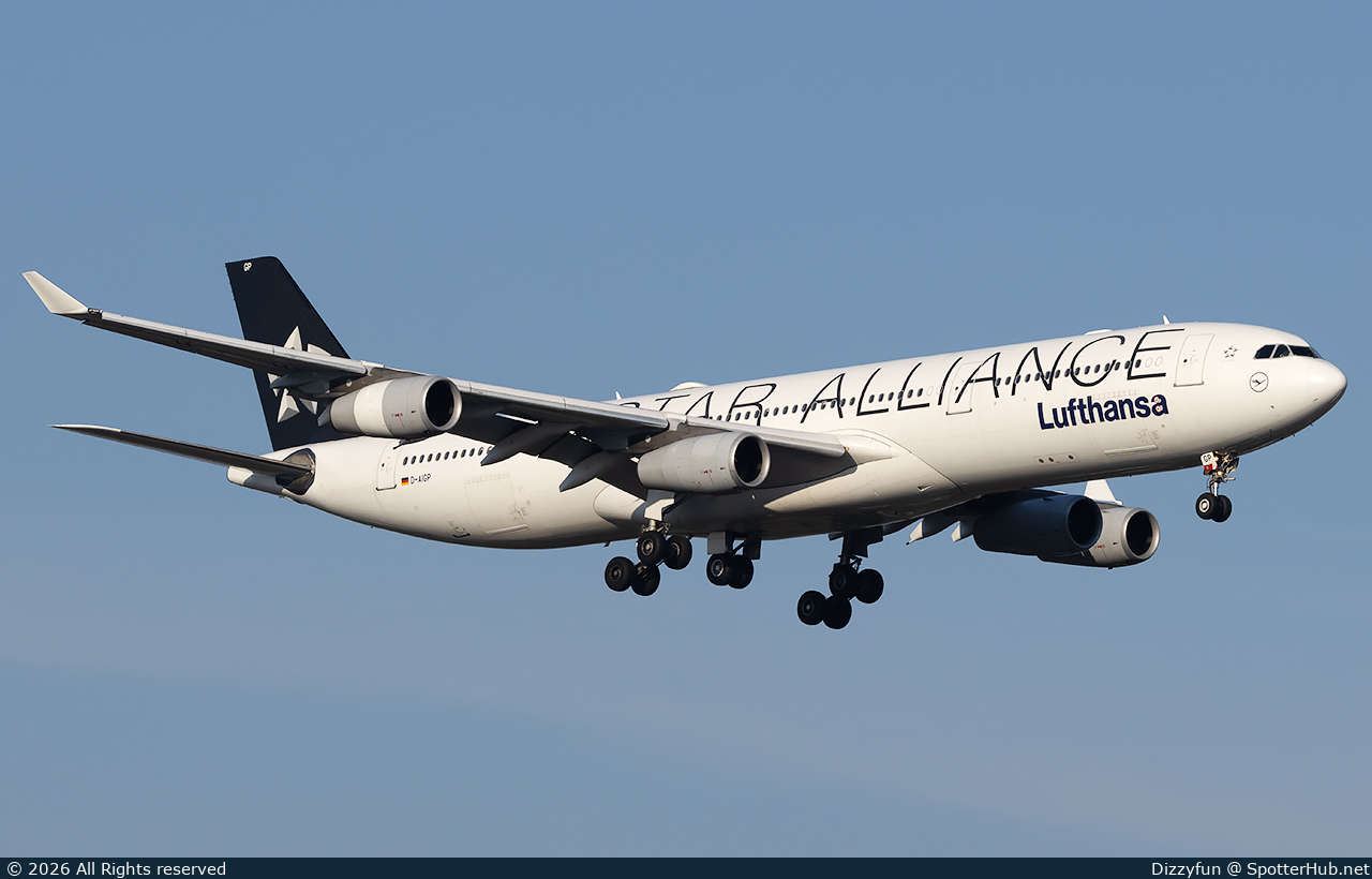 Photo of D-AIGP - Airbus A340-313 operated by Lufthansa