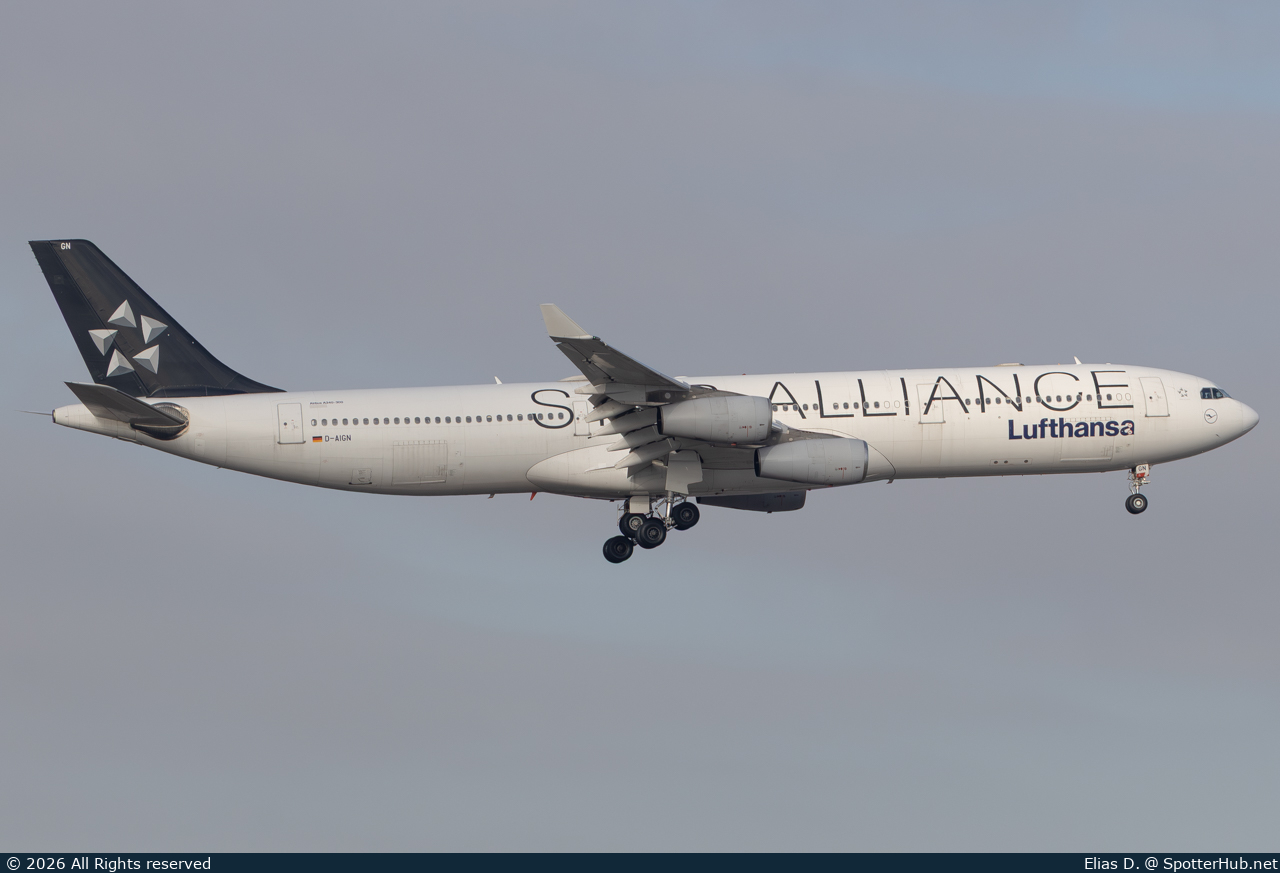 Photo of D-AIGN - Airbus A340-313 operated by Lufthansa