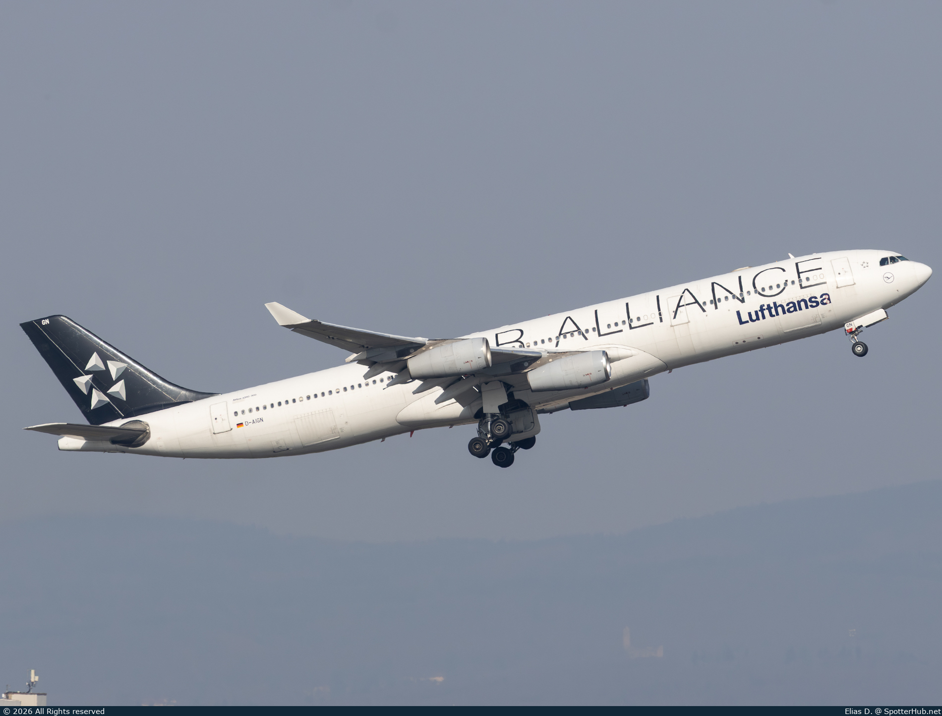 Photo of D-AIGN - Airbus A340-313 operated by Lufthansa