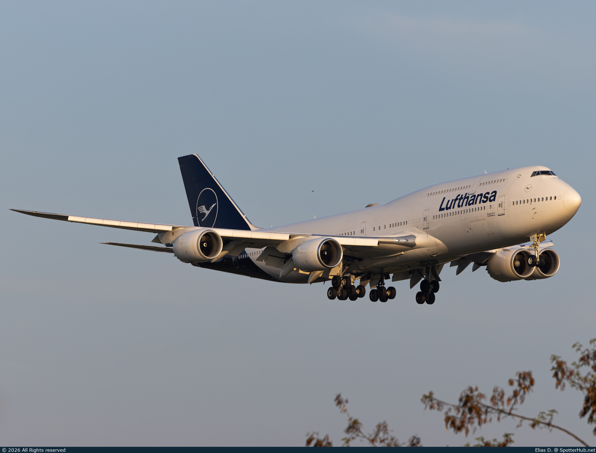 Photo of D-ABYA - Boeing 747-830 operated by Lufthansa