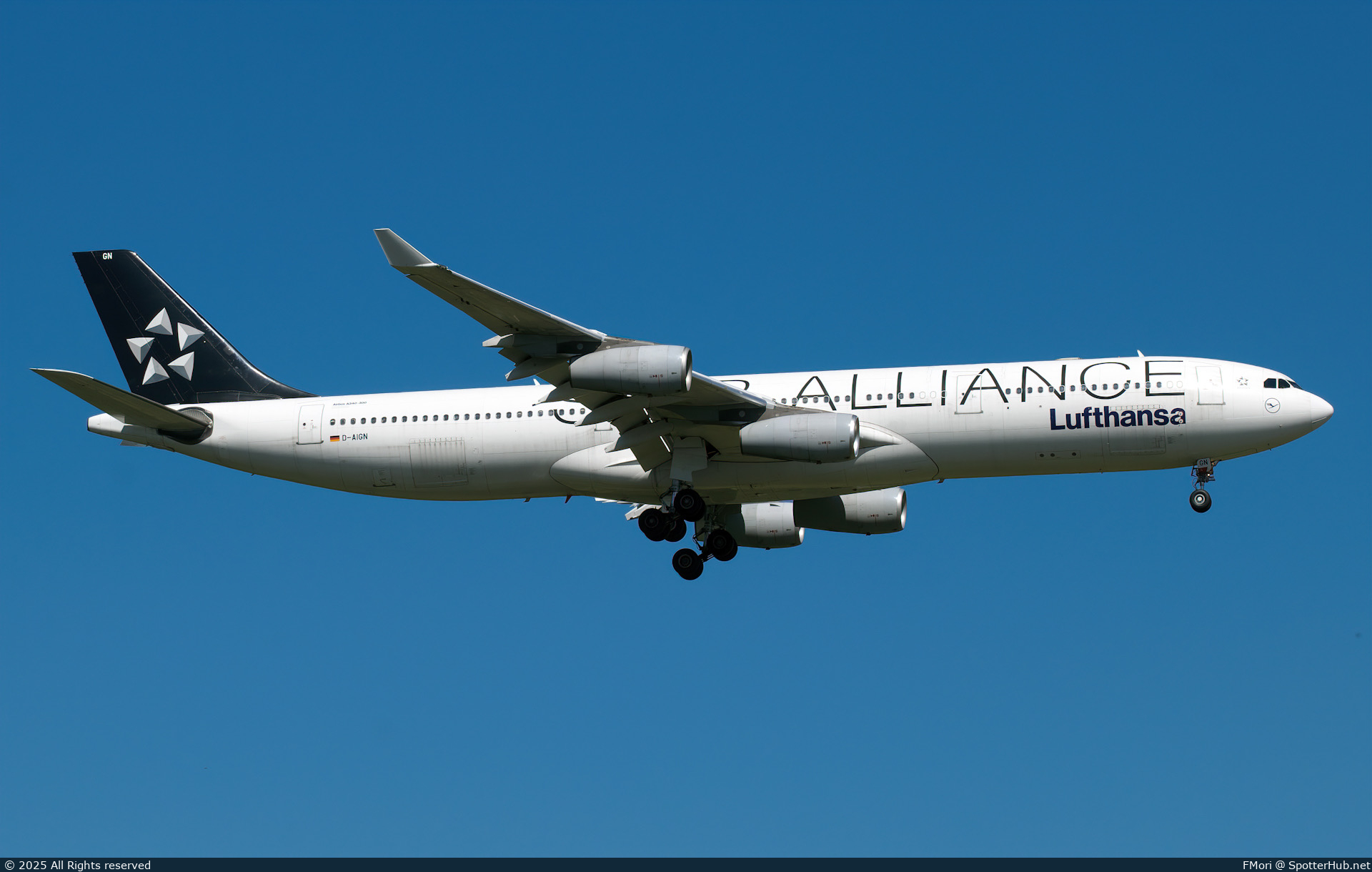 Photo of D-AIGN - Airbus A340-313 operated by Lufthansa