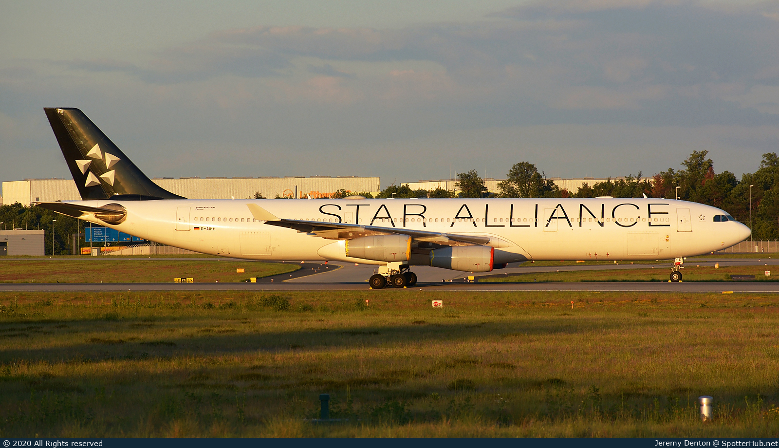 Photo of D-AIFE - Airbus A340-313 operated by Lufthansa