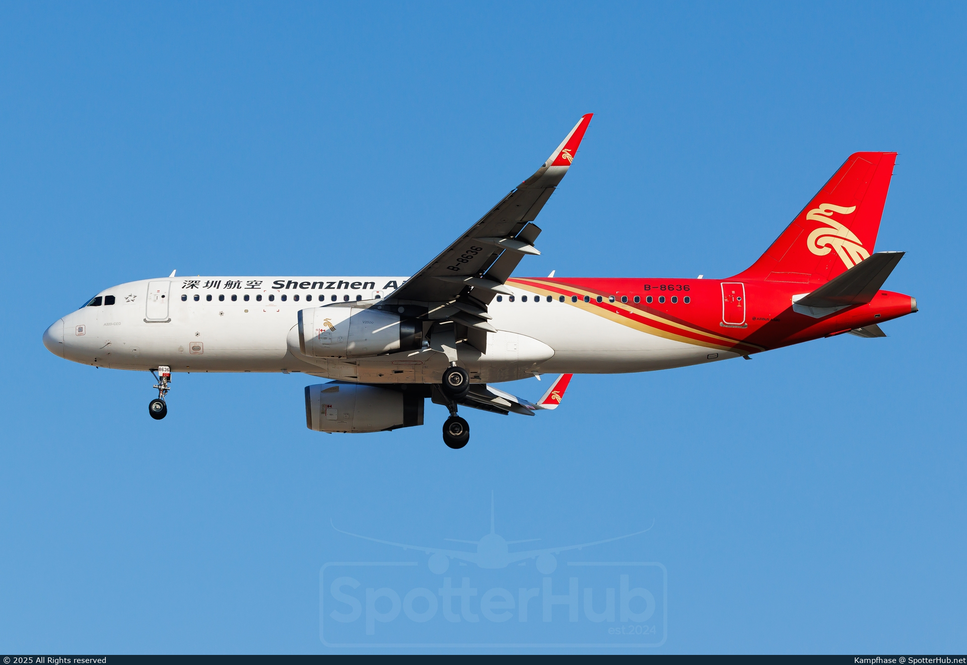 Photo of B-8636 - Airbus A320-232 operated by Shenzhen Airlines