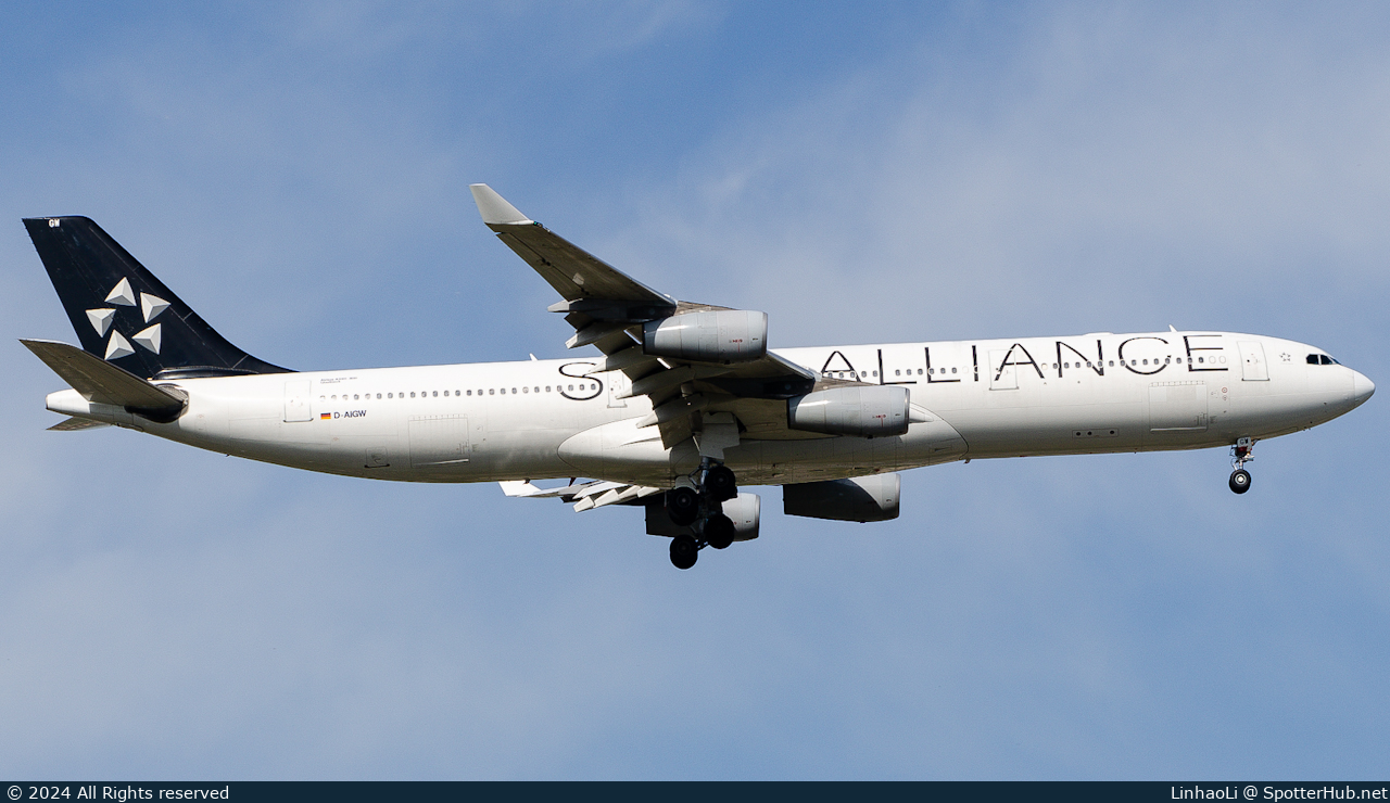 Photo of D-AIGW - Airbus A340-313 operated by Lufthansa