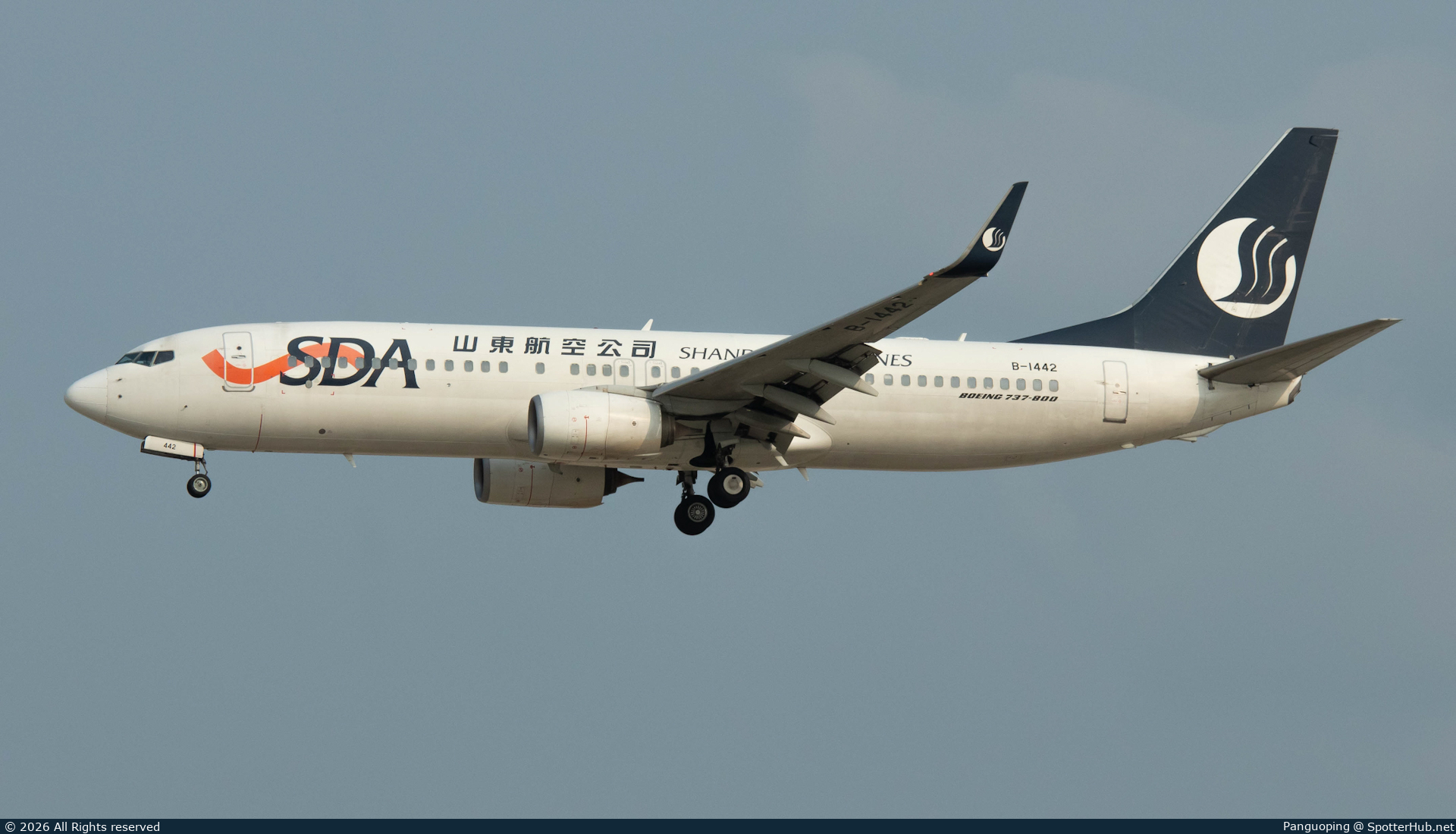 Photo of B-1442 - Boeing 737-85N operated by Shandong Airlines