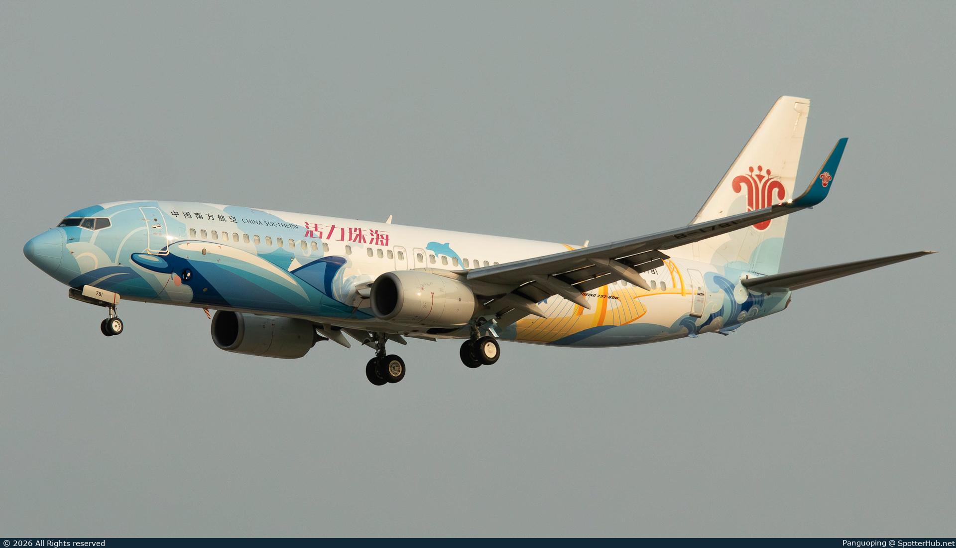 Photo of B-1781 - Boeing 737-86N operated by China Southern Airlines