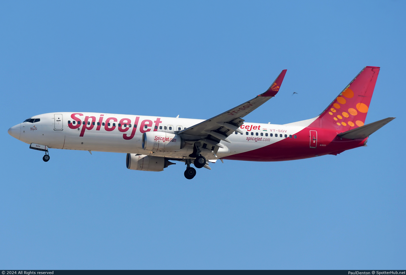 Photo of VT-SGV - Boeing 737-8GJ operated by SpiceJet