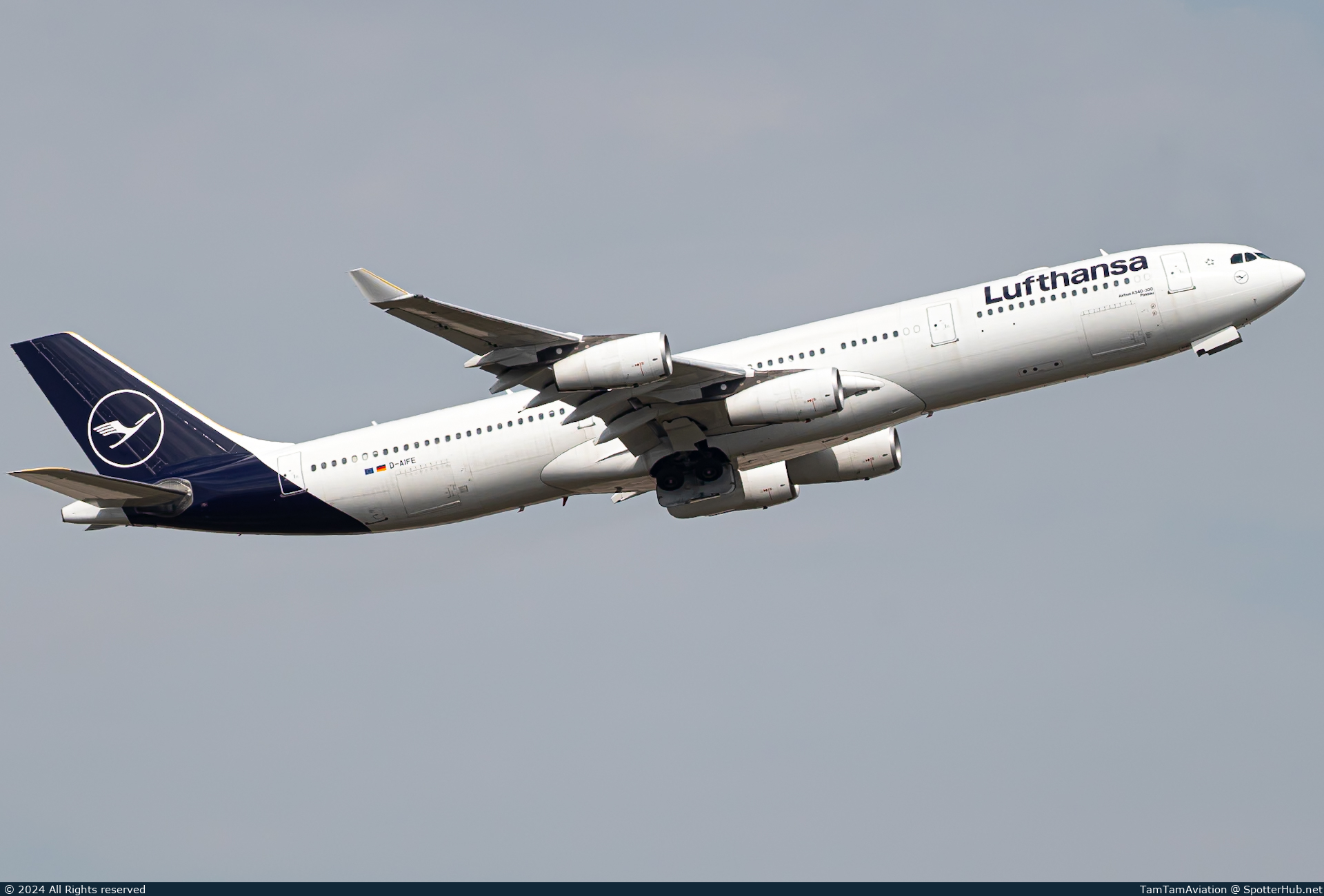 Photo of D-AIFE - Airbus A340-313 operated by Lufthansa