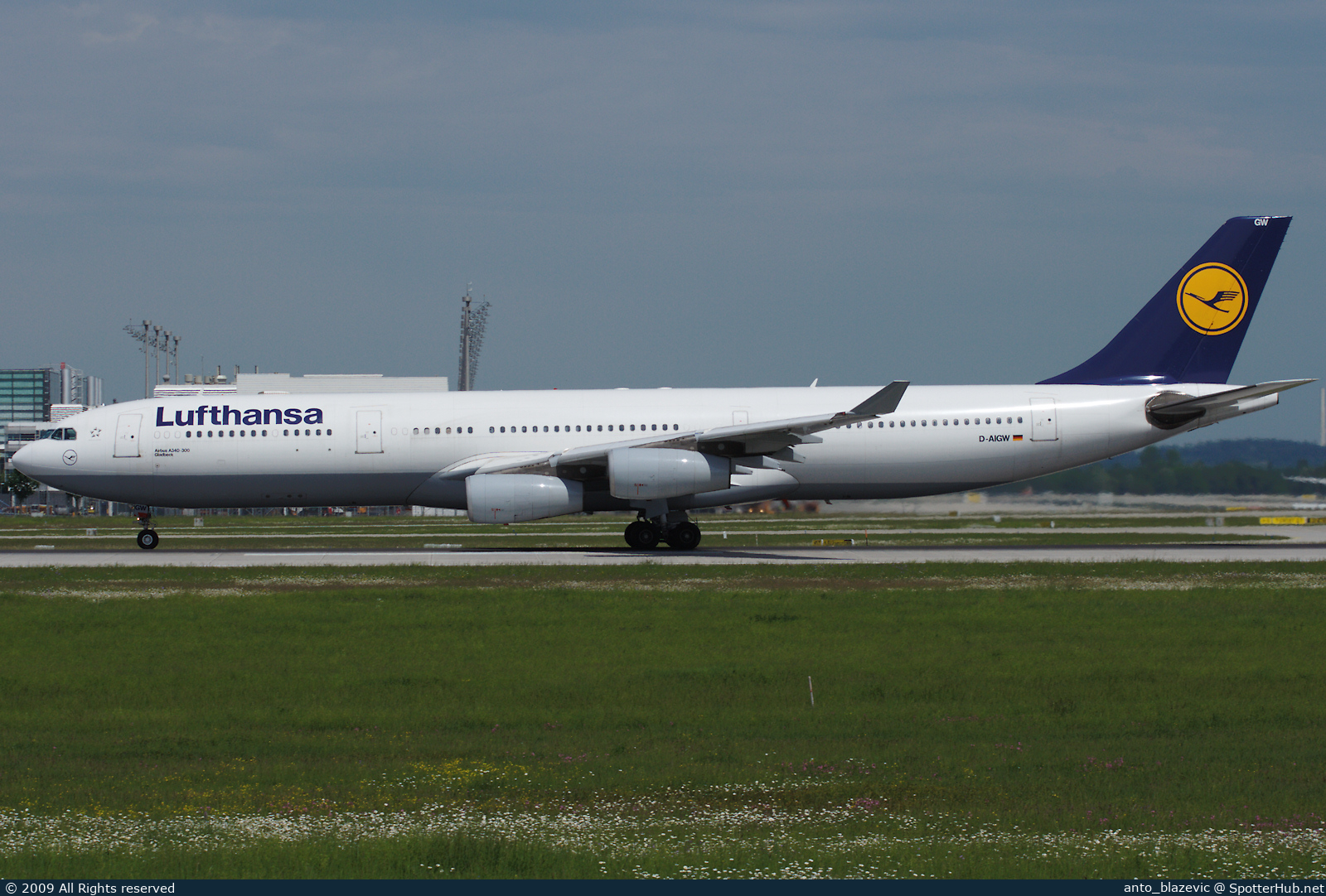 Photo of D-AIGW - Airbus A340-313 operated by Lufthansa