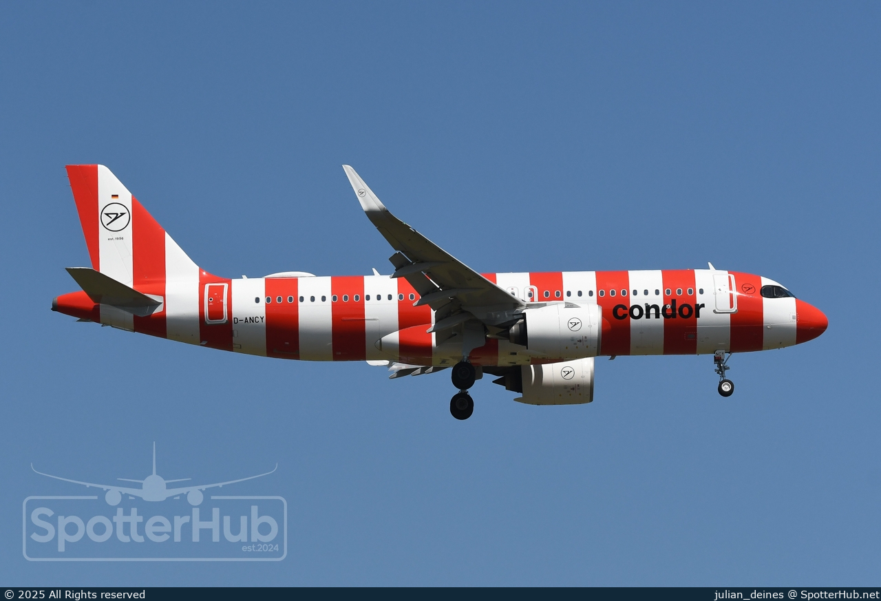 Photo of D-ANCY - Airbus A320-271N operated by Condor