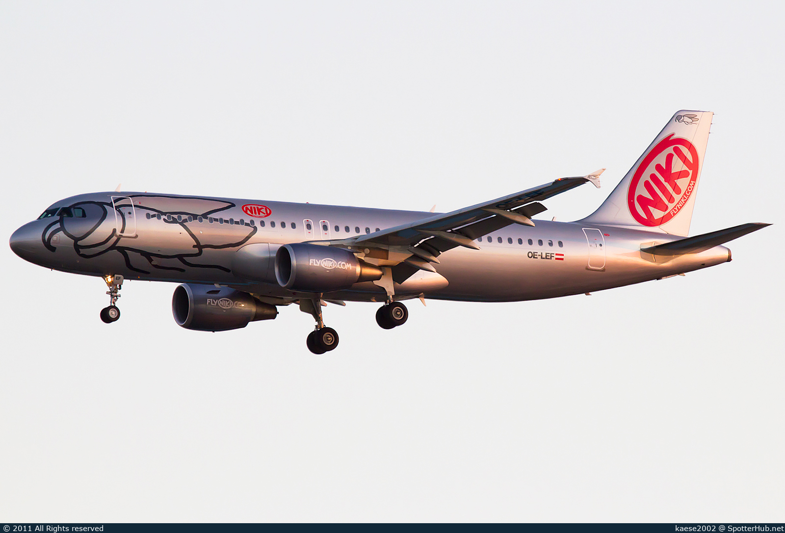 Photo of OE-LEF - Airbus A320-214 operated by Niki