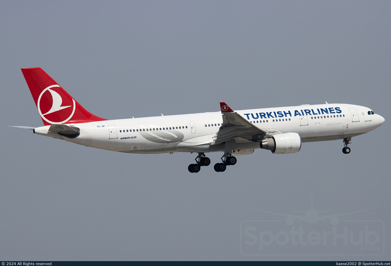 Photo of TC-JIP - Airbus A330-223 operated by Turkish Airlines