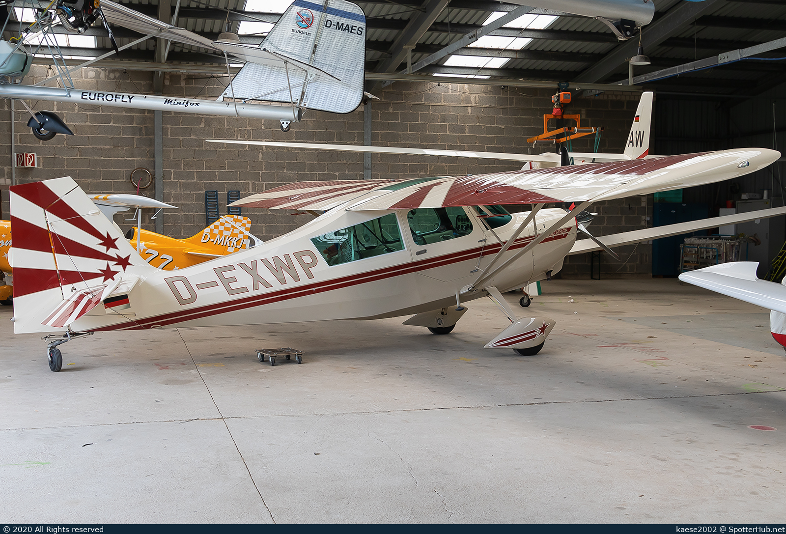 Photo of D-EXWP - American Champion 8KCAB Super Decathlon operated by Private