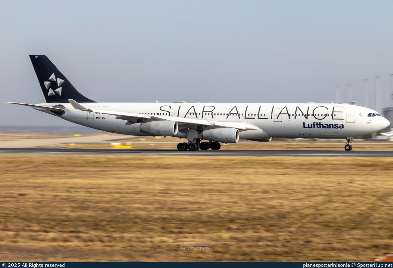 Photo of D-AIGP - Airbus A340-313 operated by Lufthansa