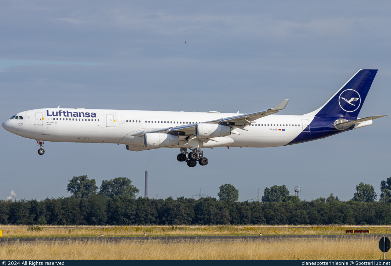 Photo of D-AIGT - Airbus A340-313 operated by Lufthansa