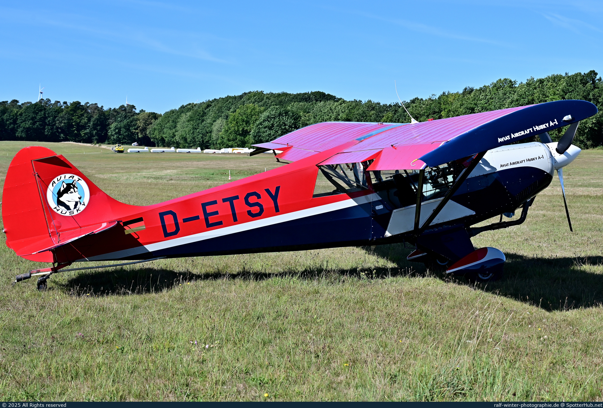 Photo of D-ETSY - Aviat A-1 Husky operated by Private