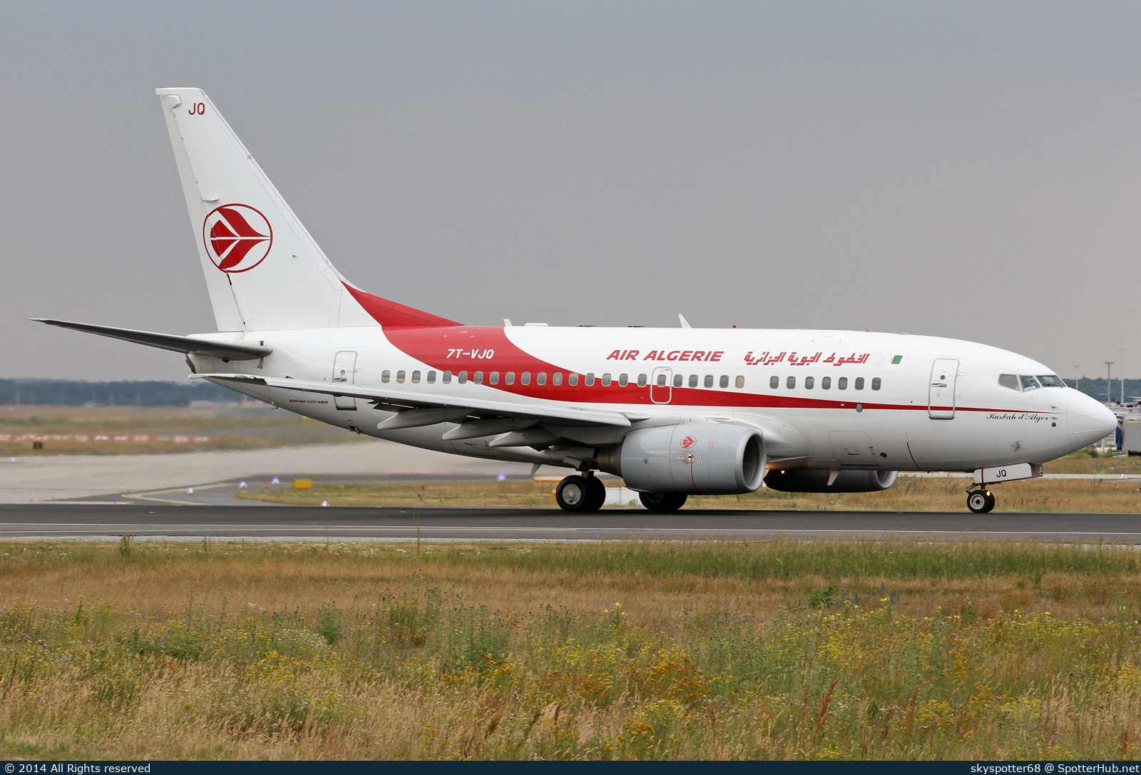 Photo of 7T-VJQ - Boeing 737-6D6 operated by Air Algérie