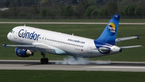 Latest photo of Condor
