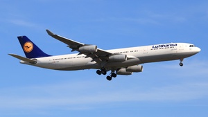 D-AIGS - Airbus A340-313