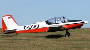 D-EGRU